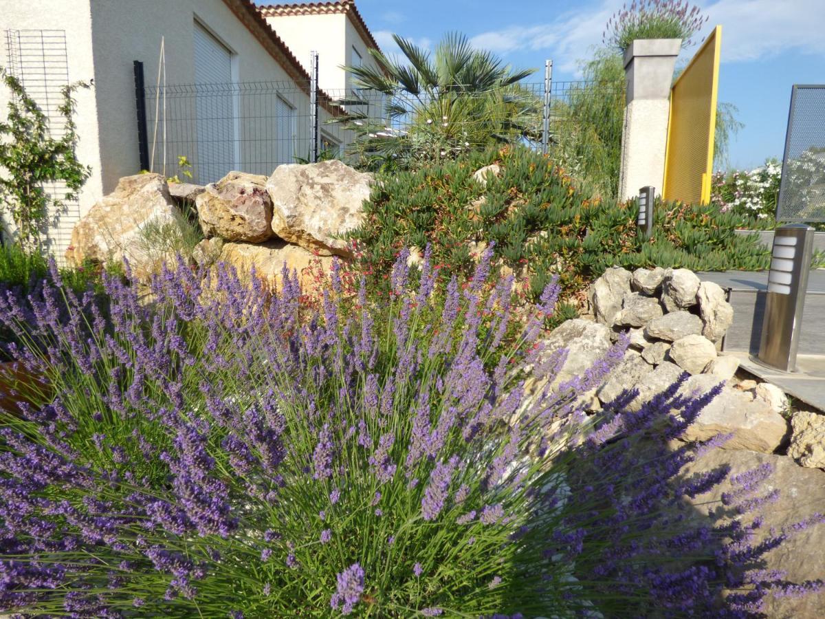 La Villa Du Saule Salles-d'Aude Exterior photo